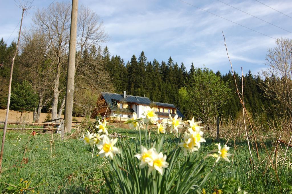 Pension Pamferka Železná Ruda Exterior foto